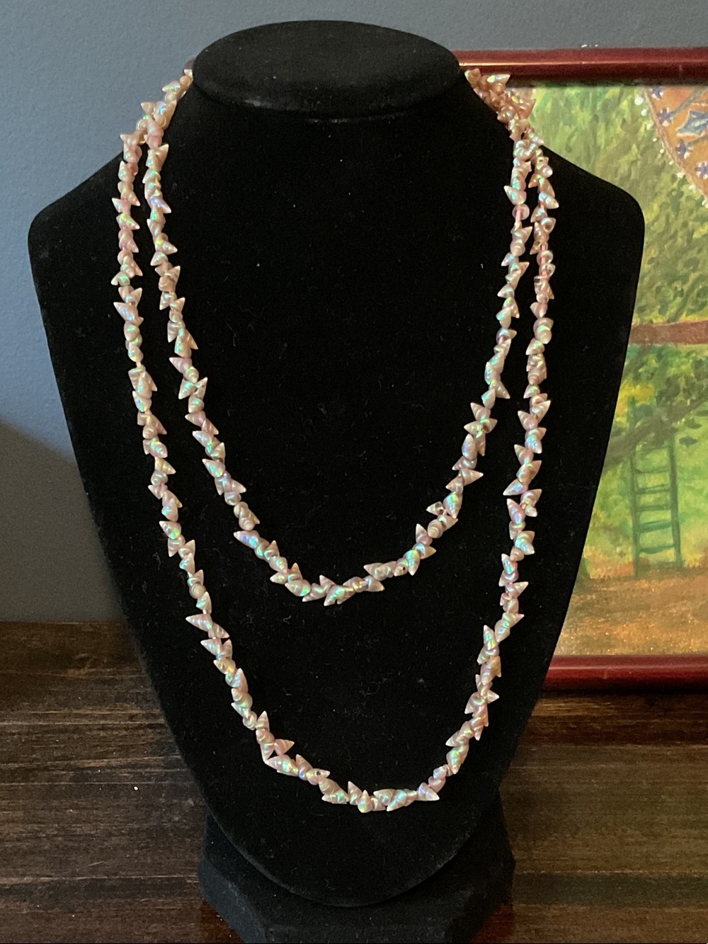 Rare Maireener Tasmanian Shell Necklace